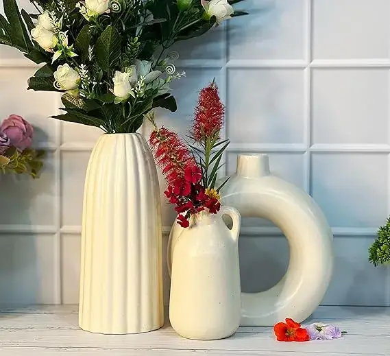 Praahi Lifestyle Ceramic Vases Set of 3 on Amazon India